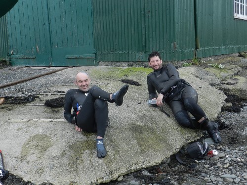 The seals sunning on the (White) rocks The seals sunning on the (White) rocks
