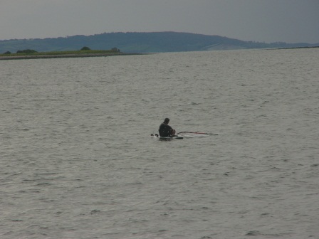 Happy Wookie Happy Wookie