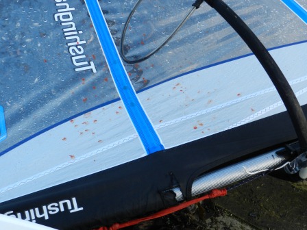 Bloody Sail Bloody Sail