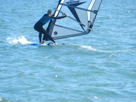 Not a duckling - but Max's sister Not a duckling - but Max's sister