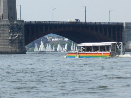 Ducking on the Charles Ducking on the Charles