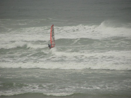 Raptor sails alone and dies Raptor sails alone and dies