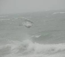 Raptor tabletop 2 Kearney