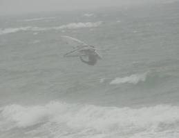 Raptor tabletop 1 Kearney