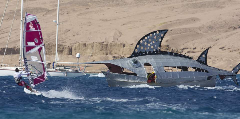 Not Donegal - but a shark for Wookie Not Donegal - but a shark for Wookie